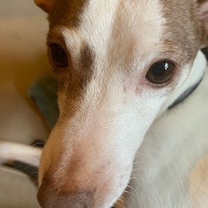 Meet your Posher, Angie